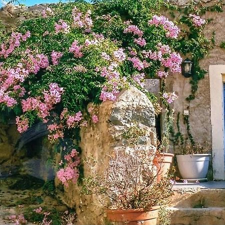 Le Patio. Casa Mucchielli Panzió Corbara Kültér fotó