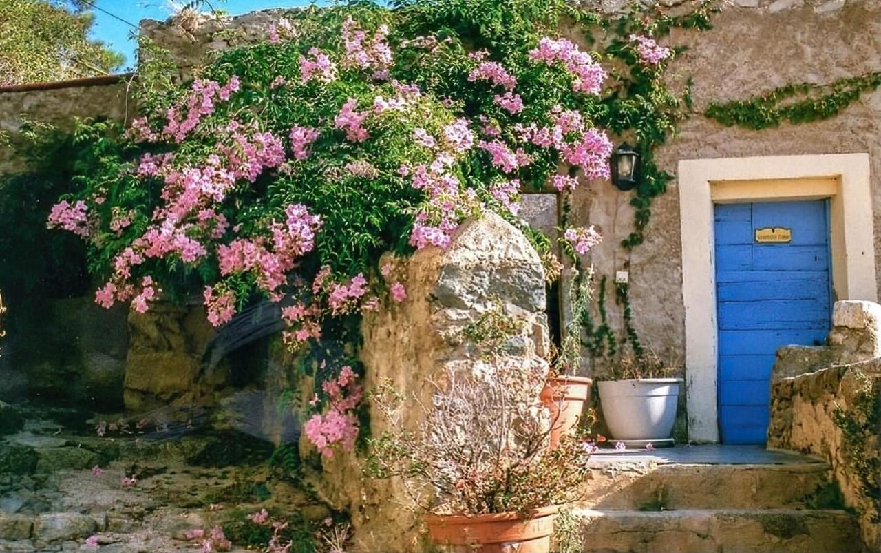 Le Patio. Casa Mucchielli Panzió Corbara Kültér fotó